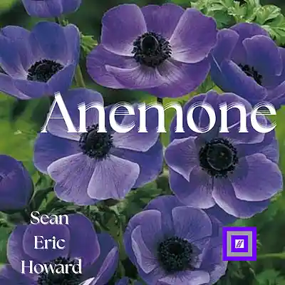 Picture for song 'For Anthony' by artist 'Sean Eric Howard'