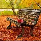 Picture for song 'Meighan's Autumn' by artist 'Chachi Music'