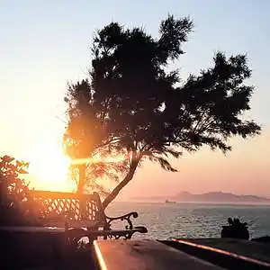 Picture for song '"Composed" Beat for Sale' by artist 'whoDeanyBeatz'