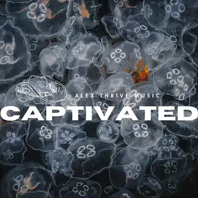 Picture for song 'Captivated (Tate McRae Indie Pop Type Beat)' by artist 'Alex Thrive Music'