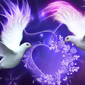 Picture for song 'Purple Doves' by artist 'Bad Newz Beats'