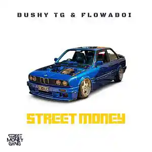 Picture for song 'Street Money' by artist 'flowaboi'