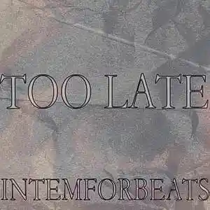 Picture for song 'Too Late' by artist 'IntemforBeats'