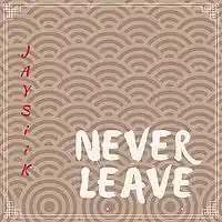 Picture for song 'Never Leave' by artist 'JaySiiK'