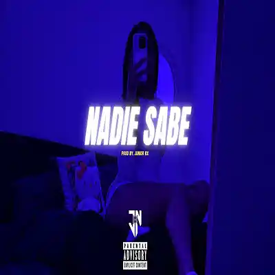 Picture for song 'Nadie Sabe / Reggaeton Type Beat' by artist 'Junior on the beat'