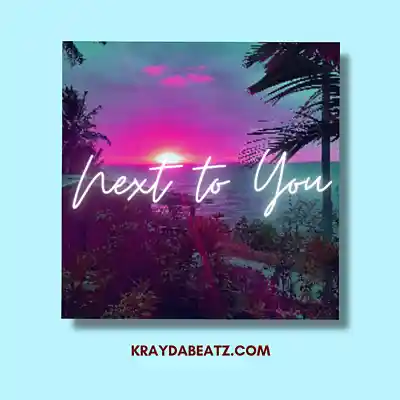 Picture for song 'Next to You' by artist 'Krayda Beatz'