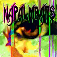 Picture for song 'The Night We Die' by artist 'Napalmbats'