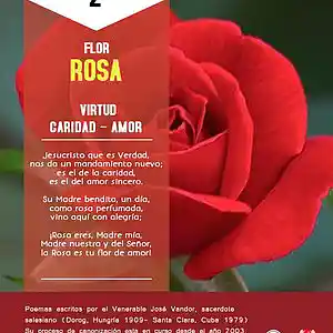 Picture for song 'Dia 2-Flor Rosa' by artist 'Producciones Vandor'