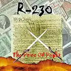 Picture for song 'Endless Path to Nowhere' by artist 'R230'