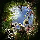 Picture for song 'far away from me' by artist 'shedding shadows'