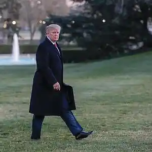Picture for song 'Buffoon In The Room (Walk In The Room)' by artist 'Tom Bower'