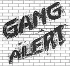 Picture for song 'My Gang' by artist 'Waka Flocka Flick'