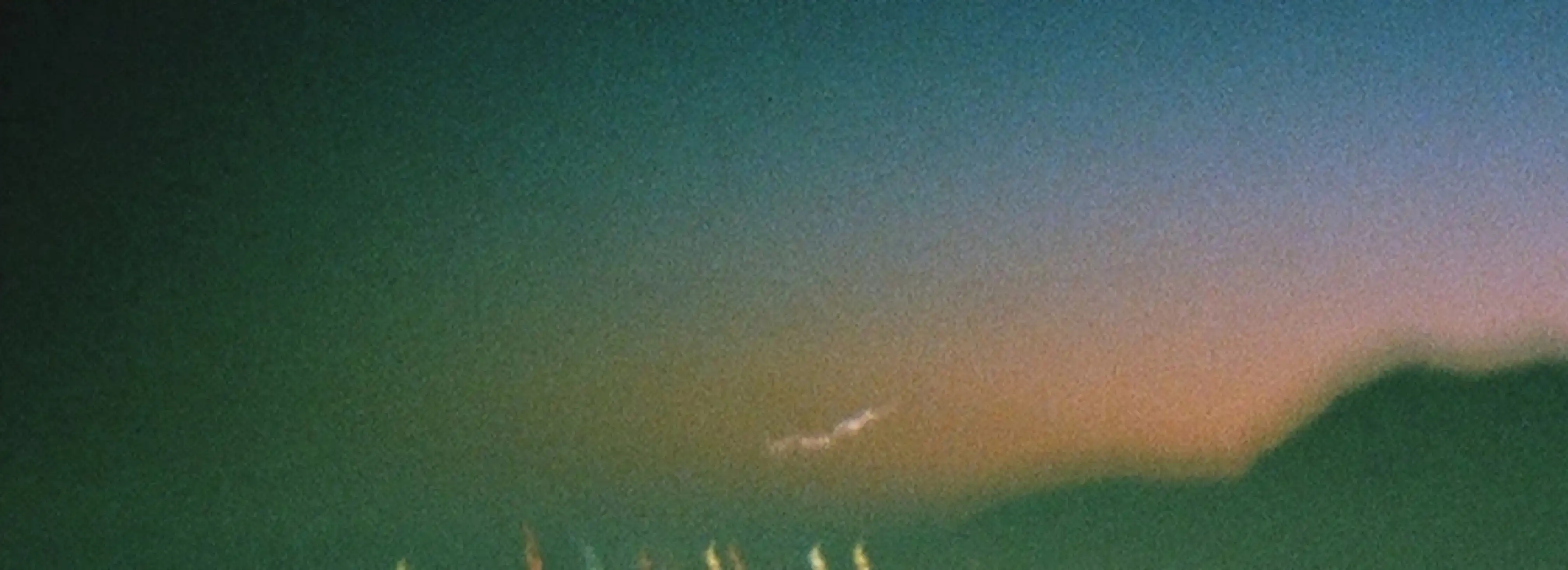 cover pic