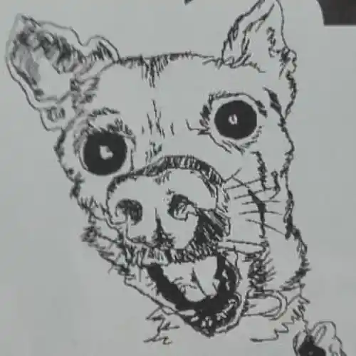 Picture for song 'Enemy spotted' by artist 'Brodeje'