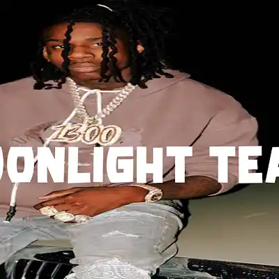 Picture for song 'Lil Tjay x Polo G Moonlight Tears - Sad Type Beat' by artist 'Hashtag6eatZ033'