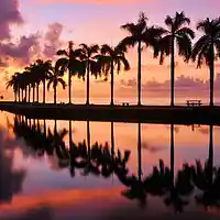 Picture for song '***FREE*** Miami Sunset (Instrumental) prod. JoeyB' by artist 'JoeyB Productions'