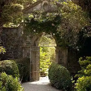 Picture for song 'Mosaica's Secret Garden' by artist 'Rosalind Loveluck'