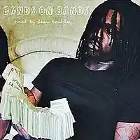 Picture for song '*New* Bands On Bands x Drill Anthem Type (Free DL)' by artist 'Sean Bentley'