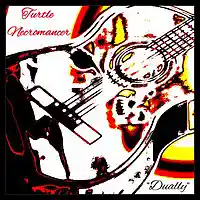 Picture for song 'Dually' by artist 'Turtle Necromancer'