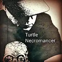 Picture for song 'Get'm' by artist 'Turtle Necromancer'