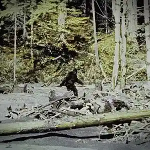 Picture for song 'BigFoot Maxxed' by artist 'XL73'