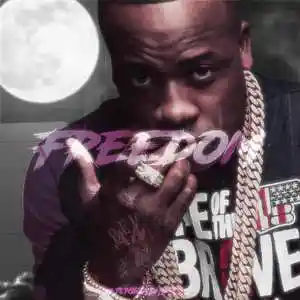 Picture for song 'FREEDOM' by artist 'TURNMEUPJUNE'