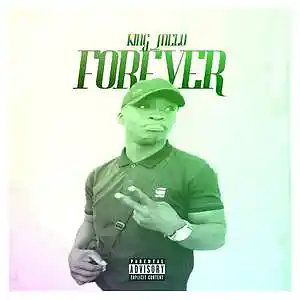 Picture for song 'King_Melo Forever(original)' by artist 'King Melo MusiQ'