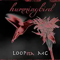 Picture for song 'hummingbird' by artist 'LOOPita MC'