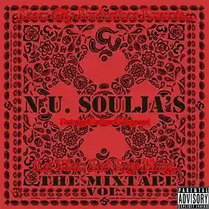 Picture for song 'BlOcKsTaRs' by artist 'N U Souljas'