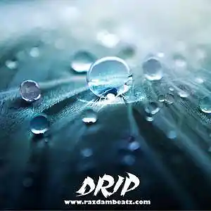 Picture for song 'DRIP (BUY 1 GET 4 FREE)' by artist 'Razdam Beatz'
