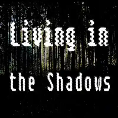 Picture for song 'Living In The Shadows' by artist 'Swampman And The Machine'