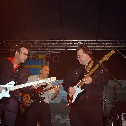 Picture for song '01-you_re-a-tease' by artist 'Tiny T. and The Big Ones'