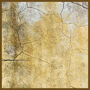 Picture for song 'Cracks' by artist 'The Garden Clots'