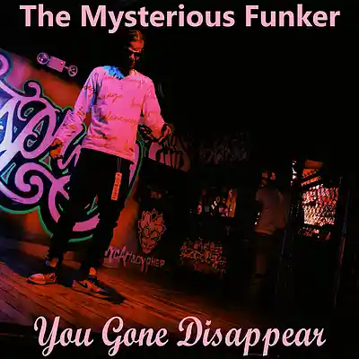 Picture for song 'You Gone Disappear' by artist 'The Mysterious Funker'