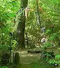 Picture for song 'Circle of Love' by artist 'Arthur Hinds'