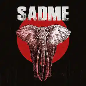 Picture for song 'Hunter' by artist 'SadMe'
