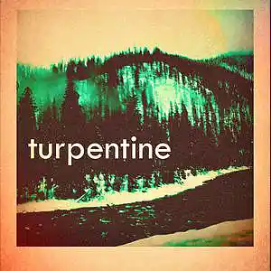 Picture for song 'Vince Schuld - Turpentine' by artist 'Vince Schuld'