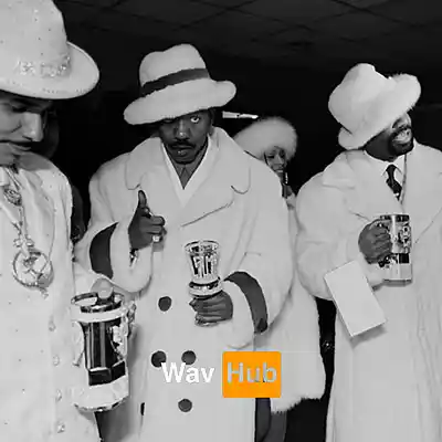 Picture for song 'Players Anthem (Bigxthaplug x Big Yavo sample)' by artist 'Wav Hub'