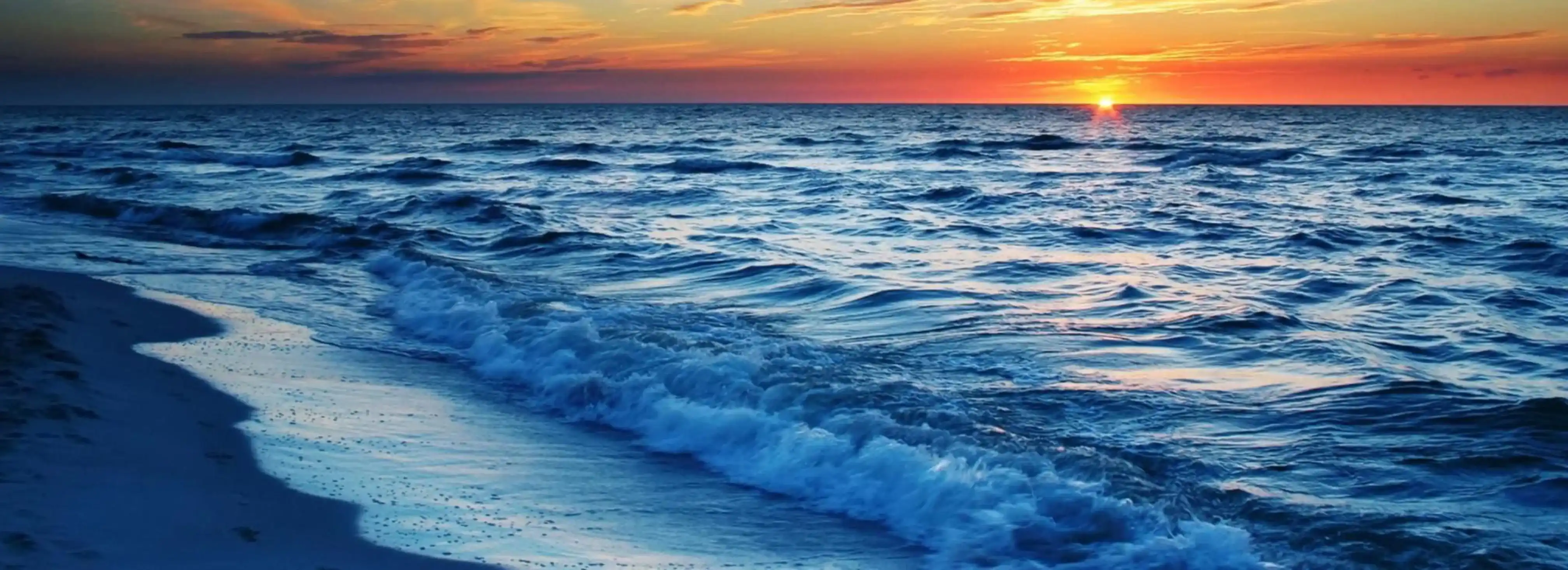 cover pic