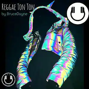 Picture for song 'Reggae Ton Ton [Reggaeton x Reggae]' by artist 'Beats by BruceDayne'