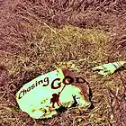 Picture for song 'Chasing after you' by artist 'BoomLab'