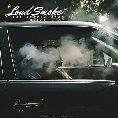 Picture for song 'Melodic Type Beat - "Loud Smoke"' by artist 'BrainStorm Beat Files'