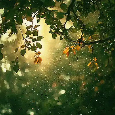 Picture for song 'Rain 1: And the rain begins' by artist 'Jav Grojas'
