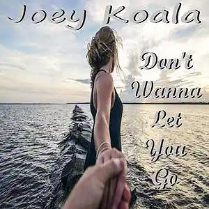 Picture for song 'Don't Wanna Let You Go (Duet)' by artist 'Joey Koala'