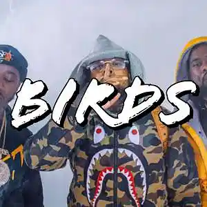 Picture for song 'BIRDS (BUY 1 GET 3 FREE)' by artist 'PINK MOLLY BEATZ'