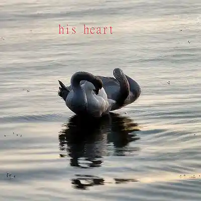Picture for song 'his heart - Sampled Trap Soul' by artist 'Toby's Beats'