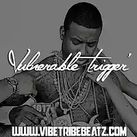 Picture for song '*HEAVY TRAP* Vulnerable Trigger' by artist 'VibeTribeBeatz'