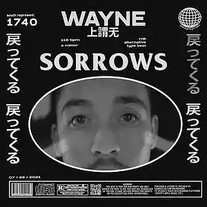 Picture for song 'sorrows' by artist 'wayne.prods'