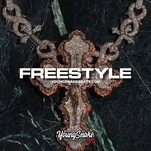 Picture for song '"FREESTYLE" - Big 30 x Big Scarr Type Beat' by artist 'Young Snake Beats'