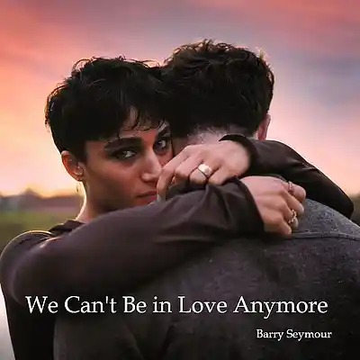 Picture for song 'We Can't Be In Love Anymore' by artist 'Barry Seymour'